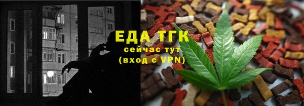 индика Кукмор