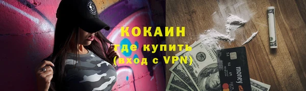 индика Кукмор