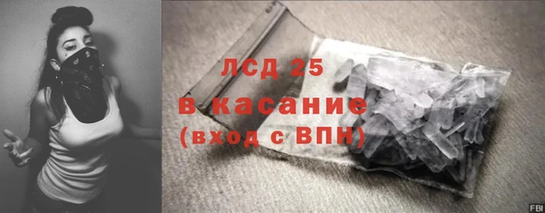 индика Кукмор