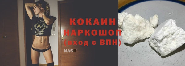 индика Кукмор