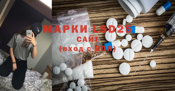 индика Кукмор