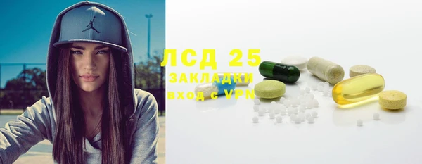 индика Кукмор