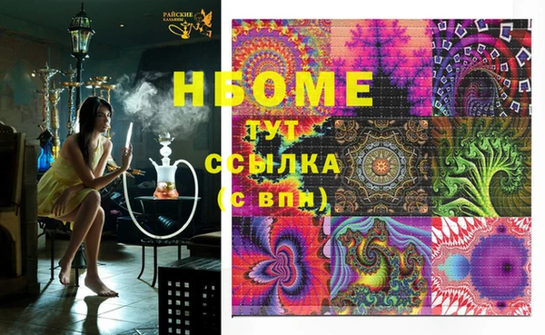 индика Кукмор