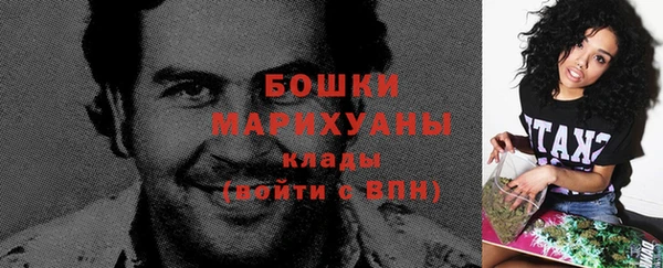 индика Кукмор