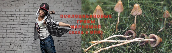 индика Кукмор