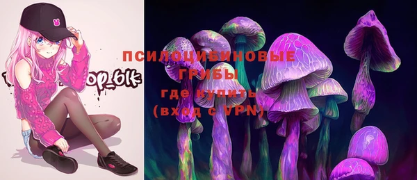 индика Кукмор
