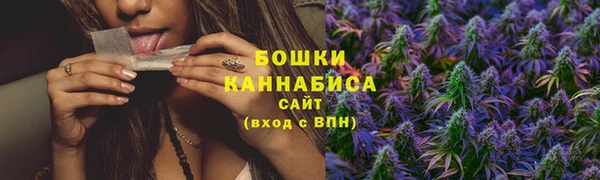 индика Кукмор