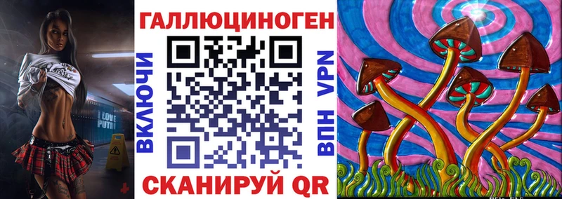 Галлюциногенные грибы Psilocybe  mega вход  Чапаевск  наркотики 