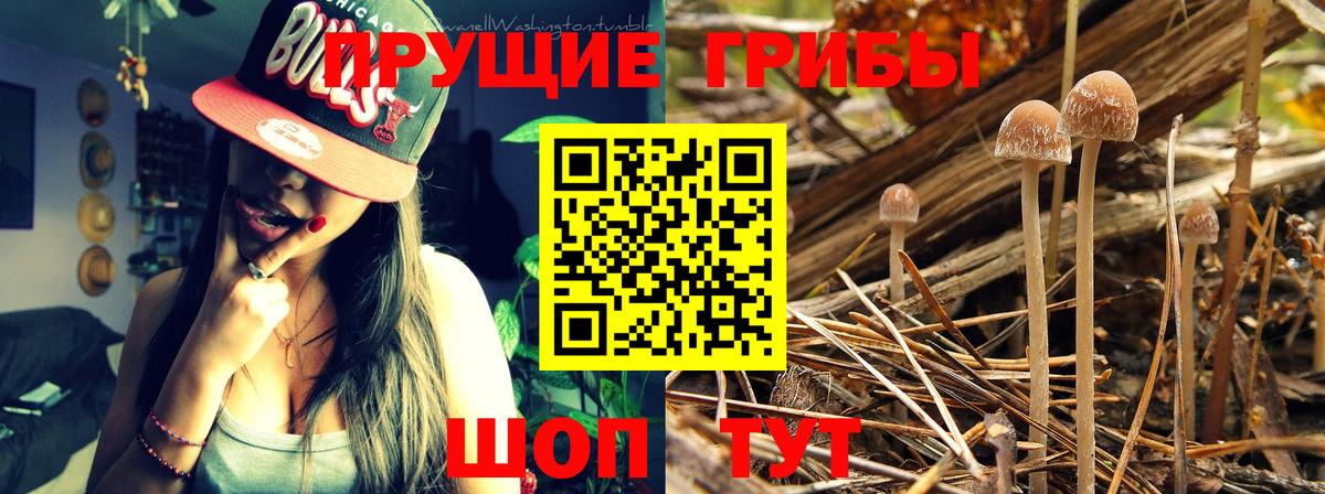 Галлюциногенные грибы Magic Shrooms Чапаевск
