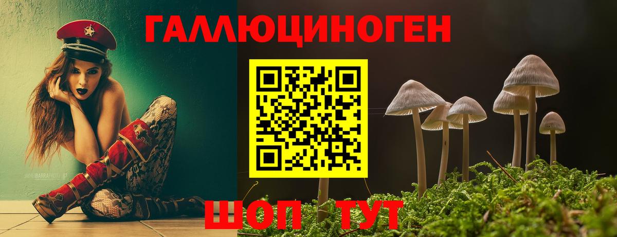 цены   Галлюциногенные грибы Psilocybe  Вход с VPN  Чапаевск 